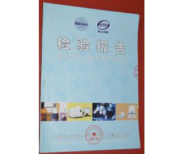 安全品報(bào)告封面